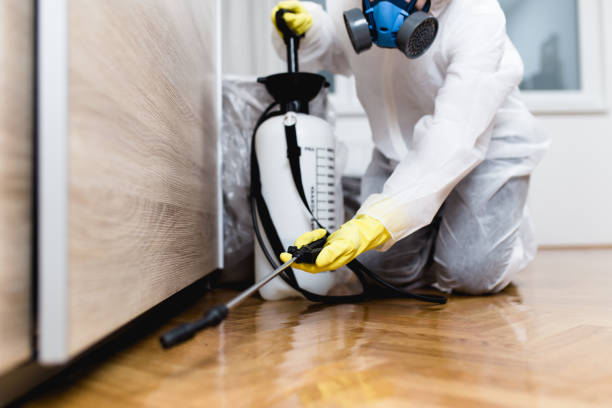 Best Pest Control Near Me  in Lemoore Station, CA