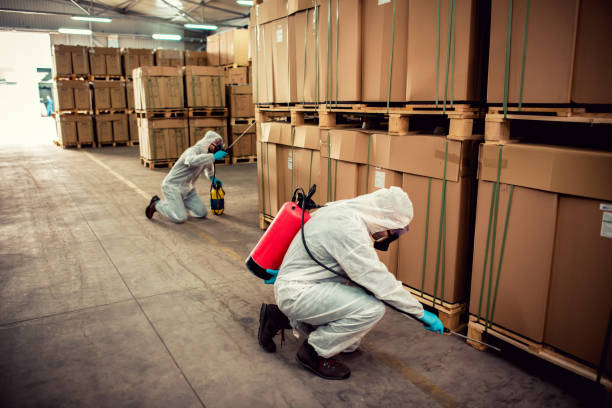 Best Local Pest Control Services  in Lemoore Station, CA
