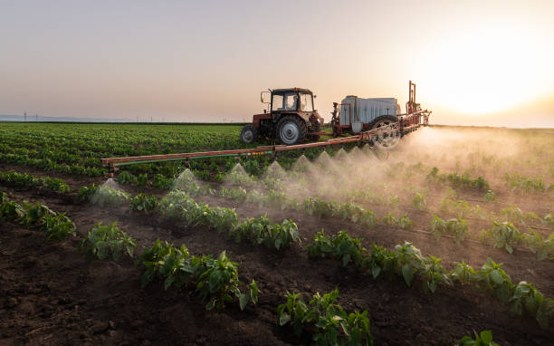 Best Wildlife Control Services  in Lemoore Station, CA
