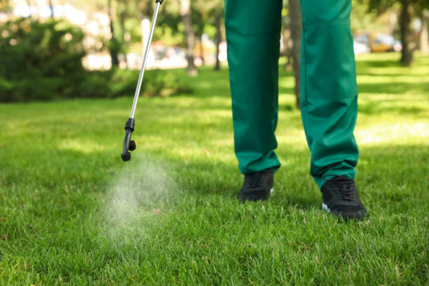 Best Affordable Pest Control Services  in Lemoore Station, CA