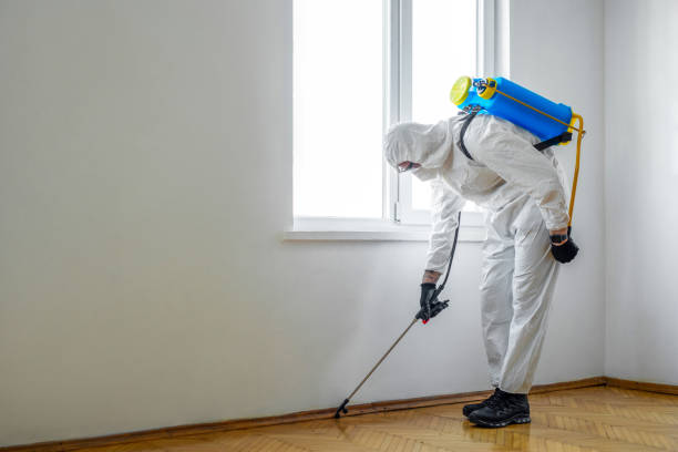 Reliable Lemoore Station, CA Pest Control Solutions