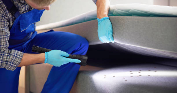 Best Cockroach Control Services  in Lemoore Station, CA