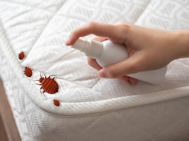 Pest Prevention Services in Lemoore Station, CA