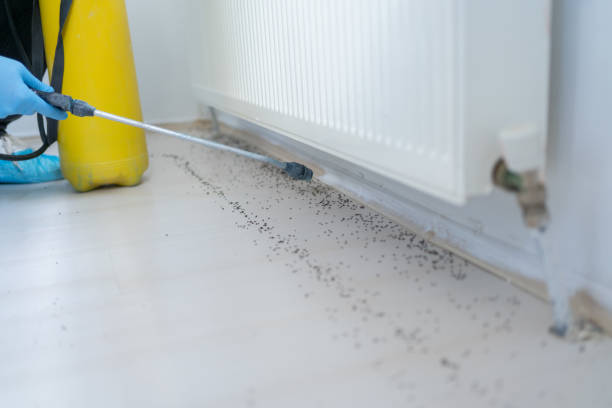 Best Best Pest Control Companies  in Lemoore Station, CA